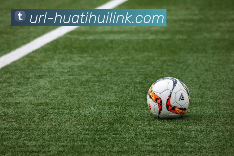 华体会体育平台生态图